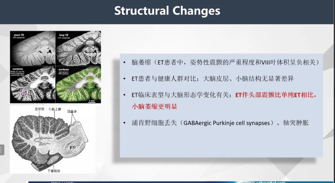 微信圖片_20240407132402